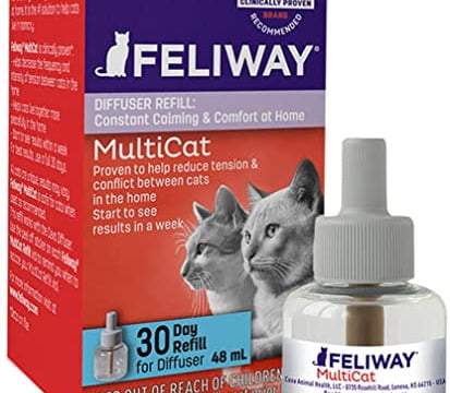 Draudzīga vide mājās kaķiem ar Feliway MultiCat (Friends)